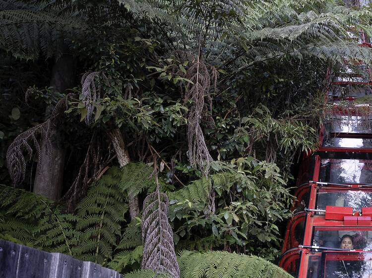 The top tourist attractions