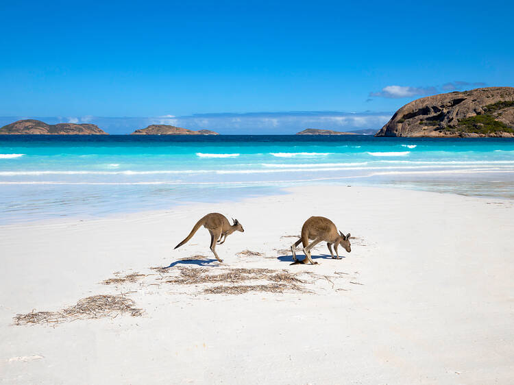 The best beaches in Australia