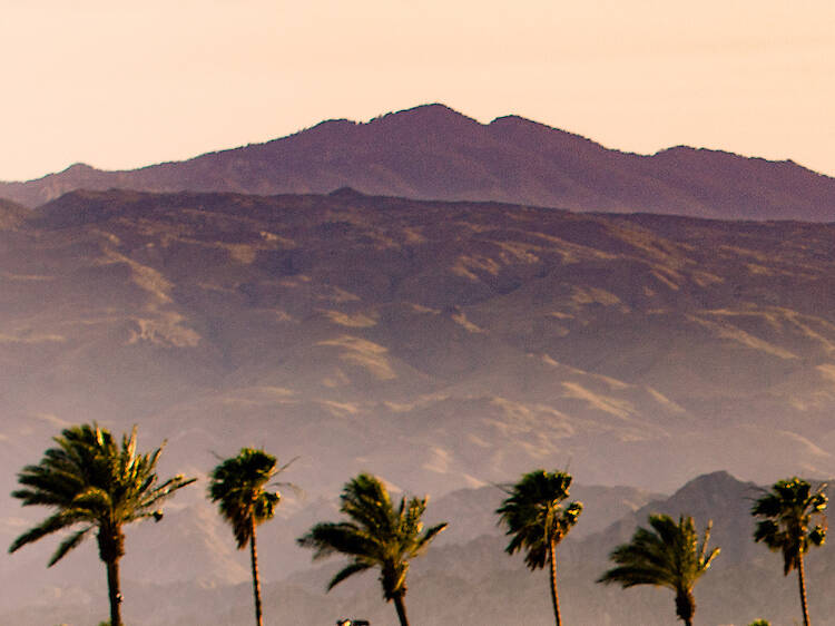 The best music festivals in the U.S.