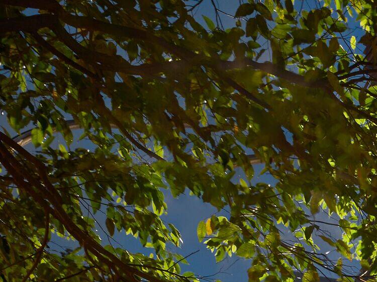 เฉลิมฉลองฤดูกาลแห่งความสุข ให้ทุกโมเมนต์ของปลายปีเปล่งประกายไปกับ COMO Metropolitan Singapore