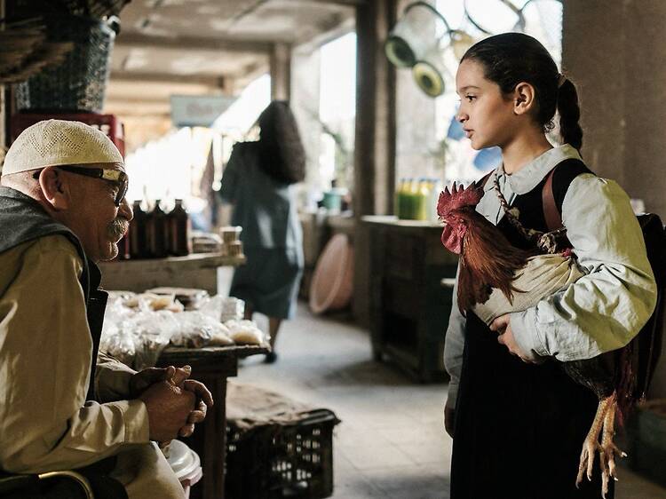 The President's Cake / Başkanın Pastası