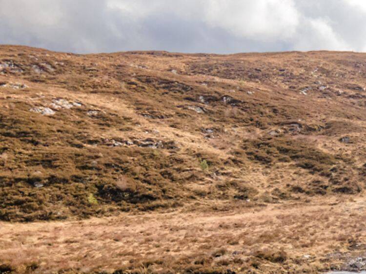 The best Airbnbs in the UK: the unusual, quirky and unique