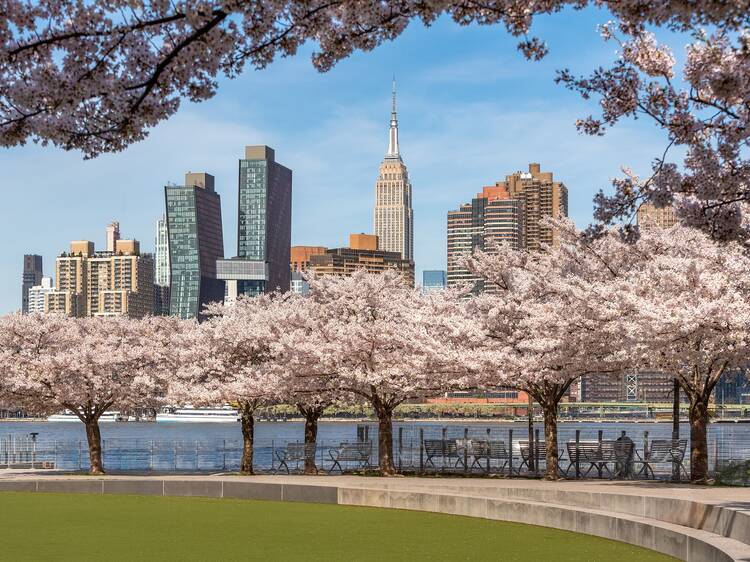 Finally, spring-like weather is headed to NYC