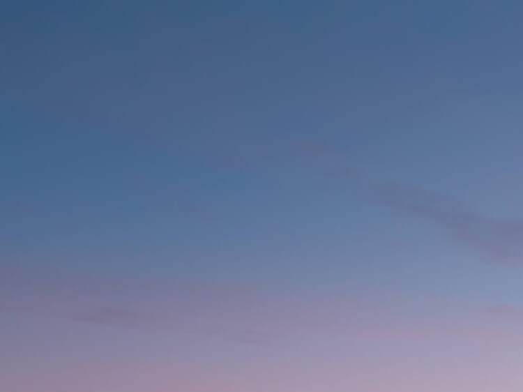 Chicago in winter: Our ultimate guide