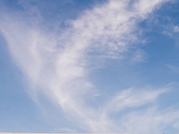 Looking for ideas to make the most of your weekend?