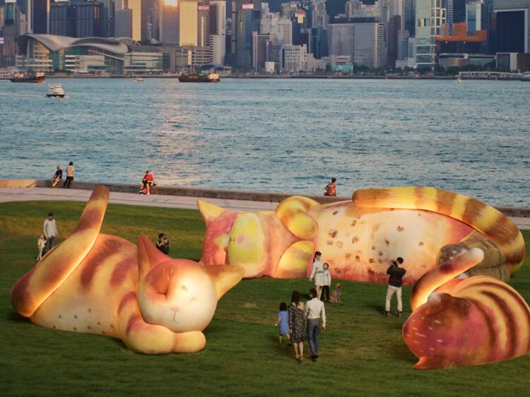 WestK FunFest returns with giant cat installations, family-friendly shows, and more experiences