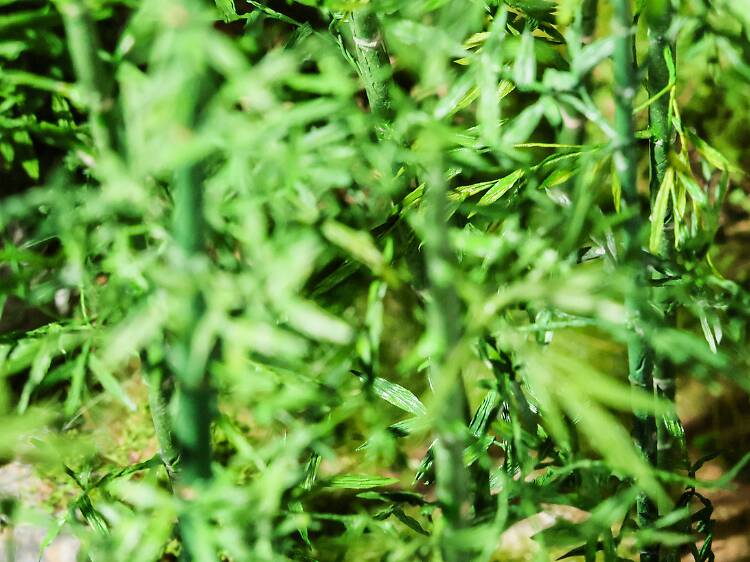 See Hong Kong life in miniature at this exhibition on The Peak