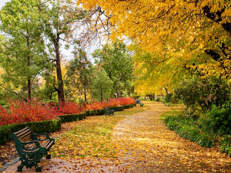 The 8 best things to do in Bendigo right now