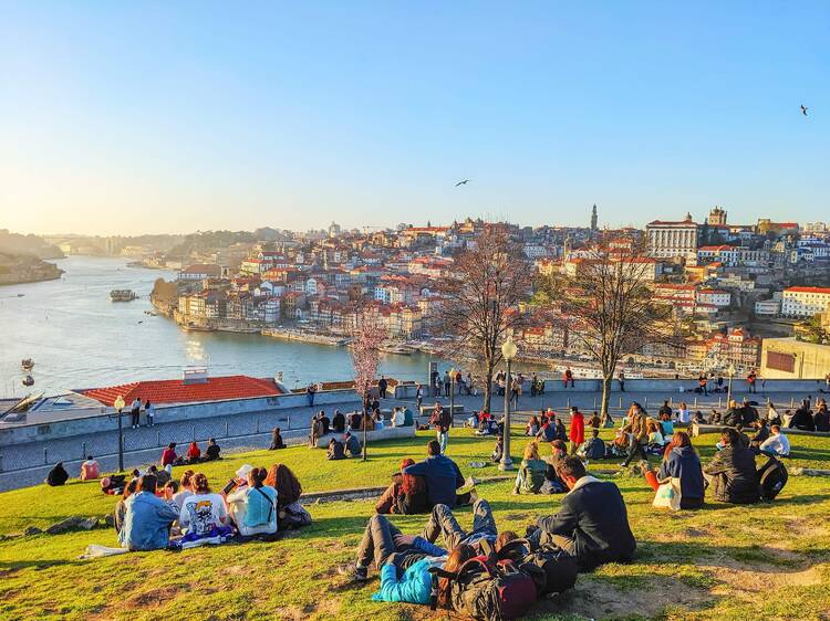 The best things to do in Porto in 2025