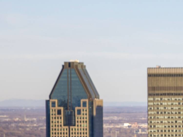 Enjoy the view from Mount-Royal and trails in and around Montreal